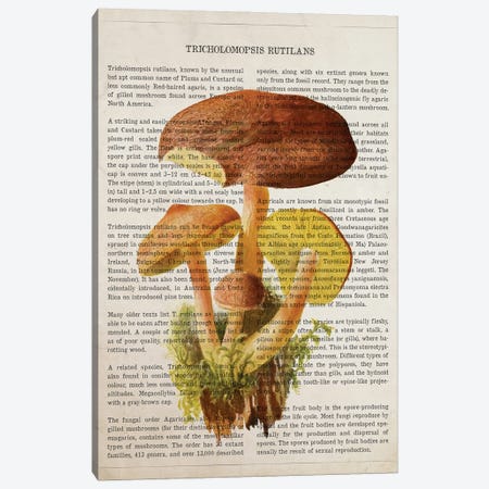 Mushroom Tricholomopsis Rutilans Canvas Print #ADP3548} by Aged Pixel Canvas Artwork