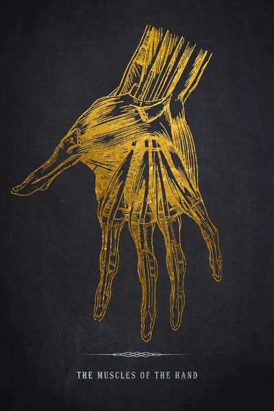 Hand Anatomy Print by Aged Pixel art print
