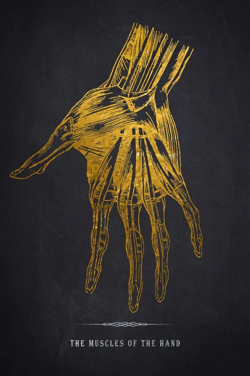 Hand Anatomy Print