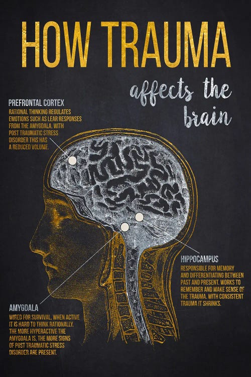 How Trauma Affects The Brain Print