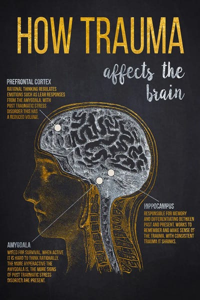 Medical & Dental Blueprints: How Trauma Affects The Brain Print by Aged Pixel