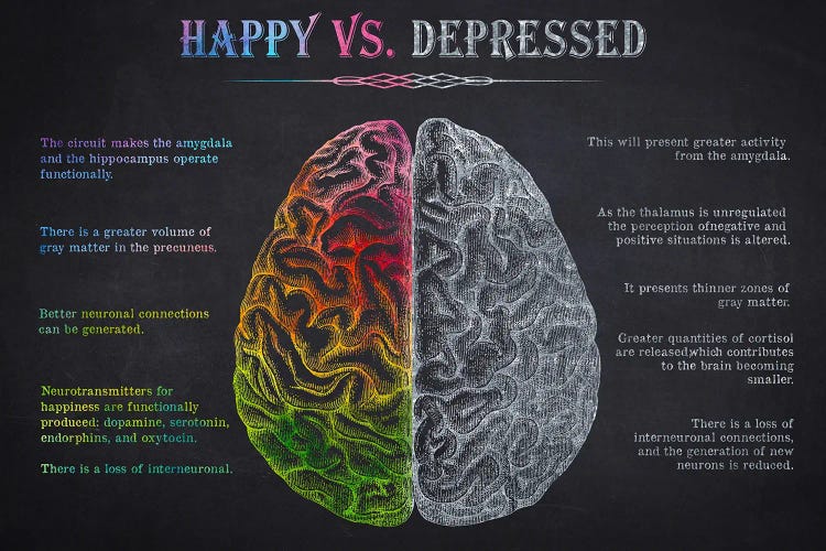 Happy Vs Depressed Brain Anatomy Print