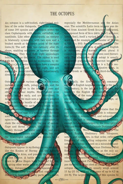 Turquoise Octopus