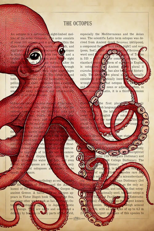 Red Octopus