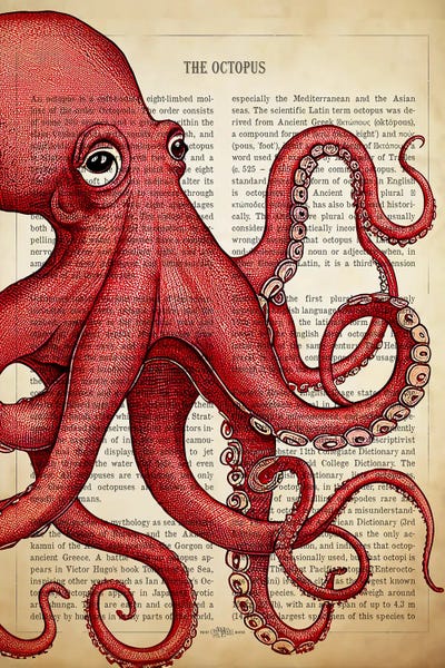 Octopi: Red Octopus by Aged Pixel