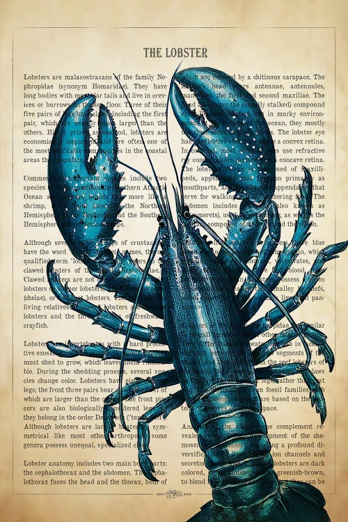 Blue Lobster