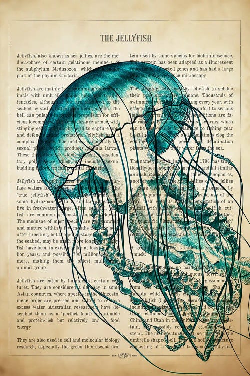 Turquoise Jellyfish by Aged Pixel wall art