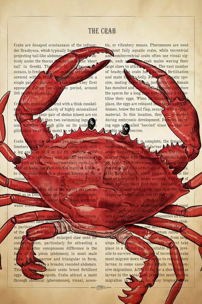 Crabs: Red Crab by Aged Pixel