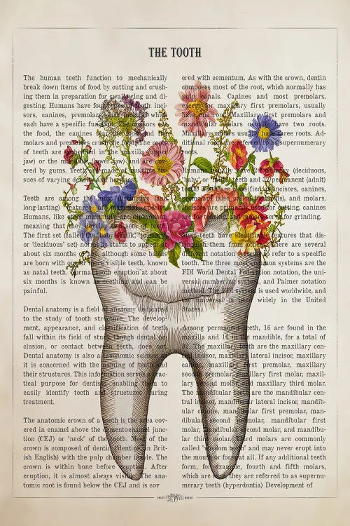 Tooth Anatomy With Flower