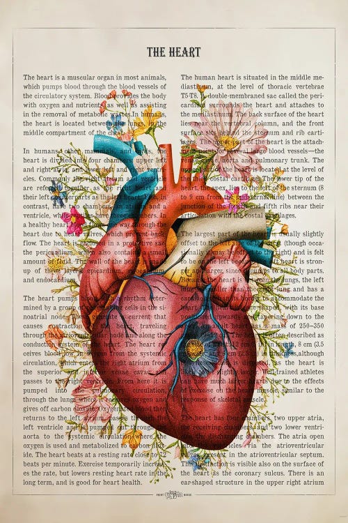 Heart Flower Anatomy by Aged Pixel wall art