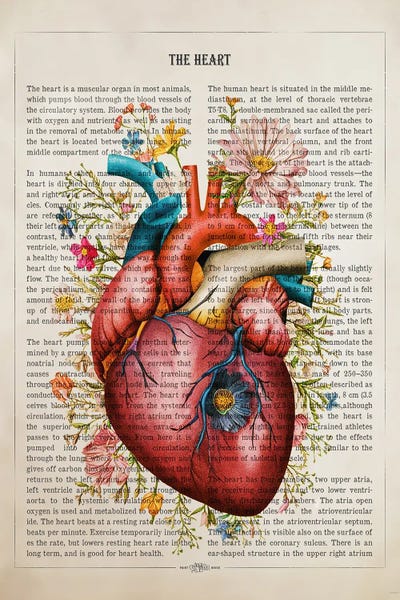 Heart Flower Anatomy