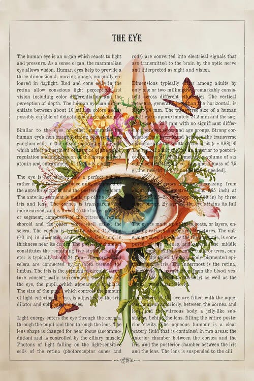 Eye Anatomy With Flower by Aged Pixel wall art