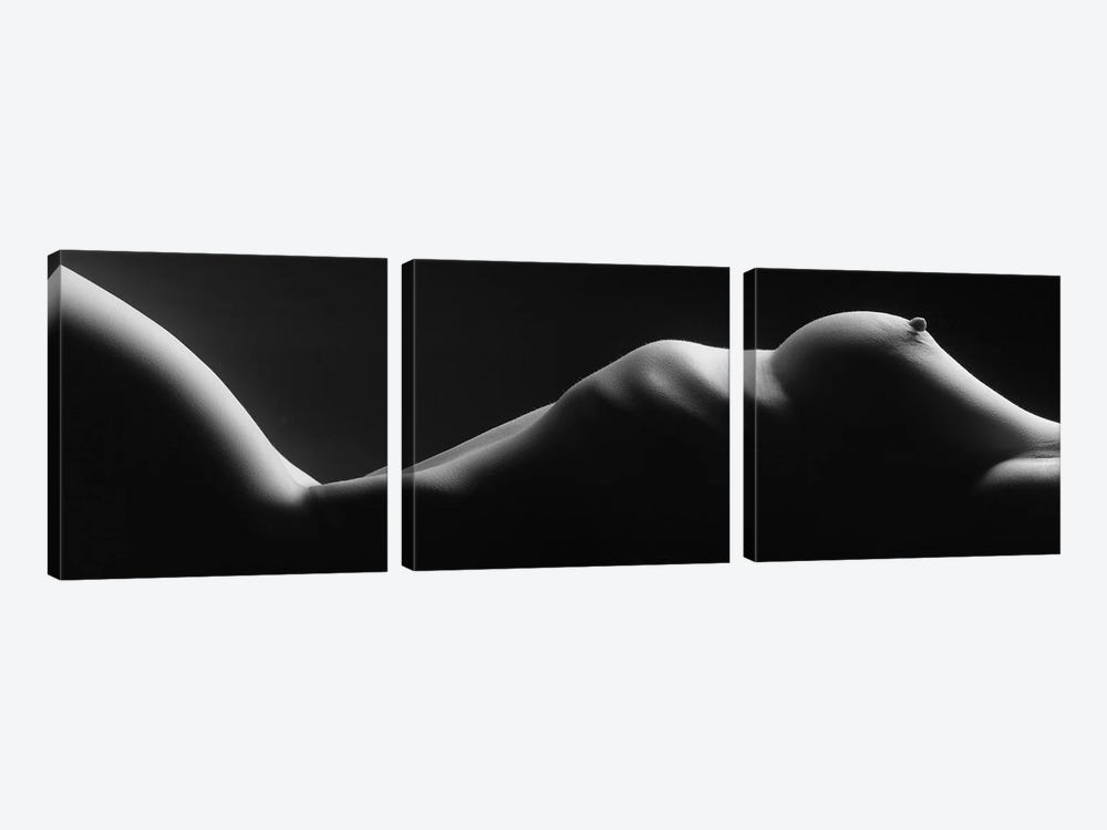 Nude Breast And Waist In A Bodyscape by Alessandro Della Torre 3-piece Art Print