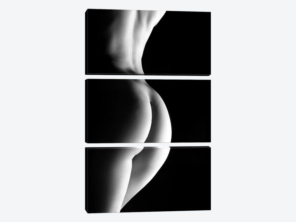 Vertical Closeup Of A Nude Sexy Womans Back And Ass by Alessandro Della Torre 3-piece Canvas Art
