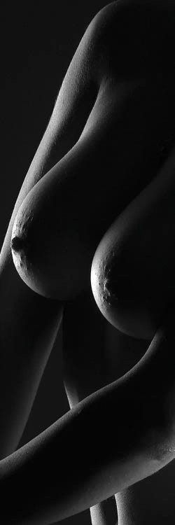 Naked Woman With Beautiful Breast by Alessandro Della Torre wall art