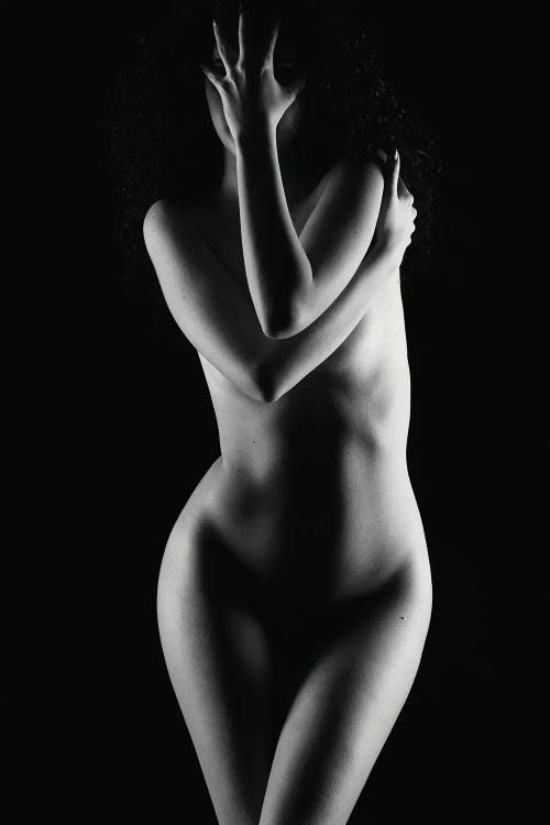 Black And White Nude Woman Silhouette V
