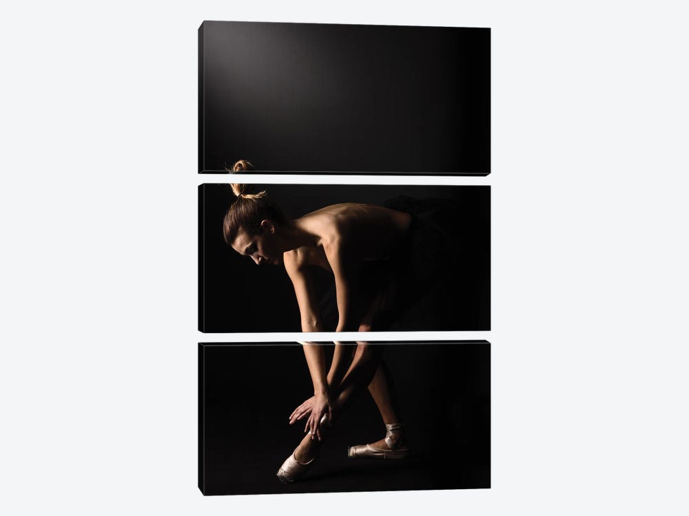 Nude Ballerina Ballet Dancer With Tutu Dress And Shoes by Alessandro Della Torre 3-piece Canvas Print