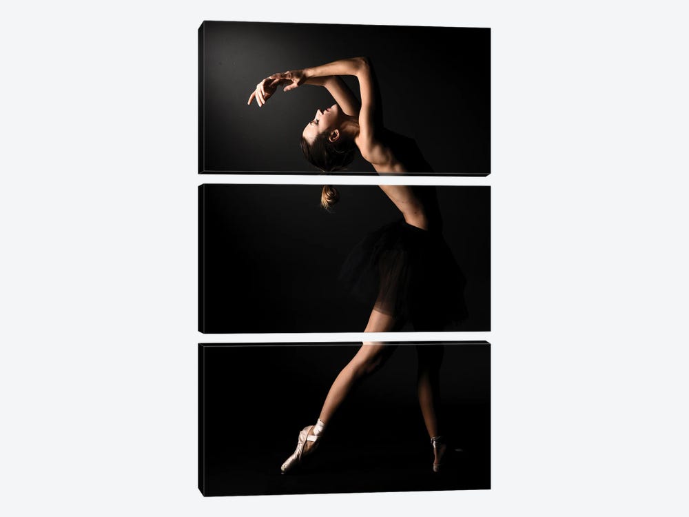 Nude Ballerina Ballet Dancer With Tutu Dress And Shoes IV by Alessandro Della Torre 3-piece Canvas Wall Art