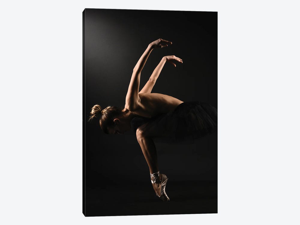 Nude Ballerina Ballet Dancer With Tutu Dress And Shoes V by Alessandro Della Torre 1-piece Art Print