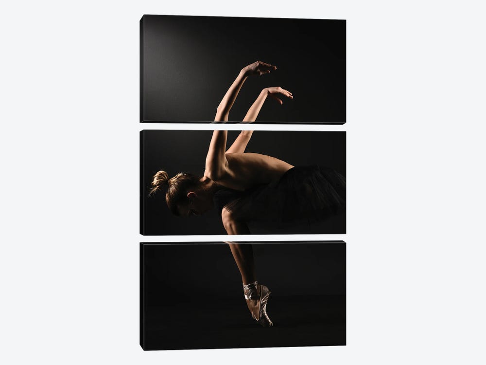 Nude Ballerina Ballet Dancer With Tutu Dress And Shoes V by Alessandro Della Torre 3-piece Art Print