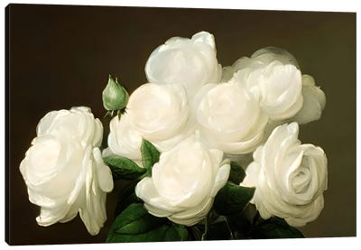 Ai White Flowers Still Canvas Art Print - Alessandro Della Torre