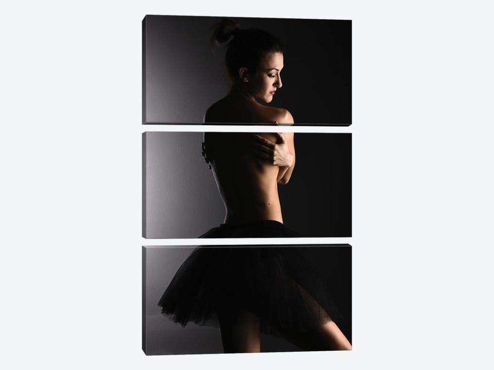 Nude Ballerina Ballet Dancer With Tutu Dress And Shoes XXV by Alessandro Della Torre 3-piece Canvas Art