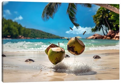 Coconuts From Seychelles Canvas Art Print - Alessandro Della Torre