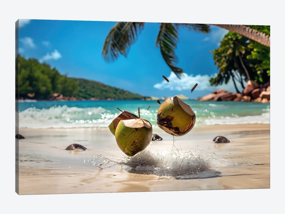 Coconuts From Seychelles by Alessandro Della Torre 1-piece Canvas Artwork