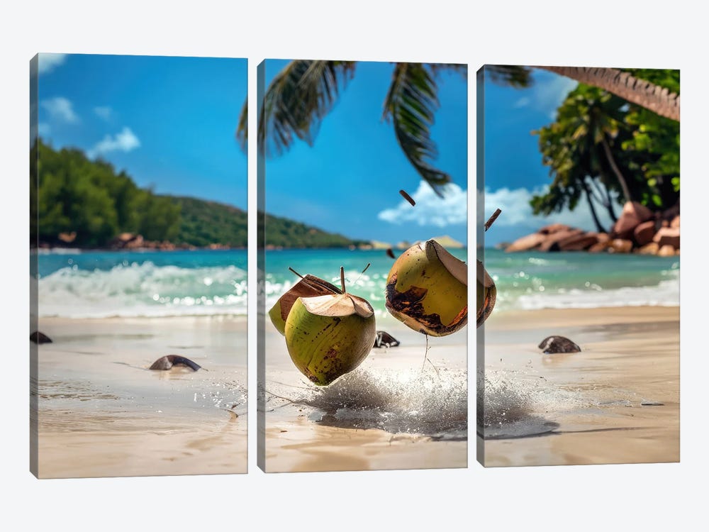 Coconuts From Seychelles by Alessandro Della Torre 3-piece Canvas Art