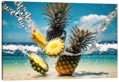 Pineapples From Maldive Canvas Art Print - Alessandro Della Torre