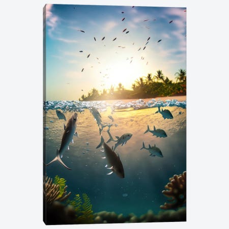 Ai Tropical Fishes Out Of The Ocean Canvas Print #ADT1437} by Alessandro Della Torre Canvas Wall Art