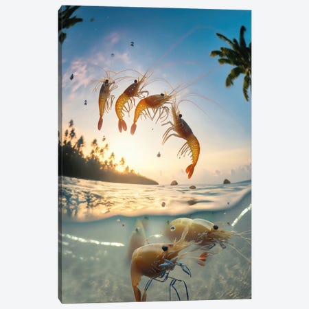 Ai Shrimps Jumping Out Of The Water Canvas Print #ADT1439} by Alessandro Della Torre Canvas Print