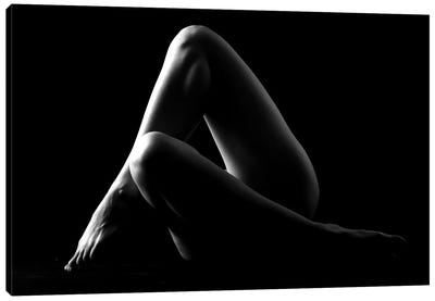 Nude Woman's Sexy Body IV Canvas Art Print - Alessandro Della Torre