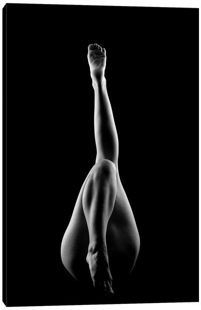 Nude Woman's Sexy Body V Canvas Art Print - Alessandro Della Torre