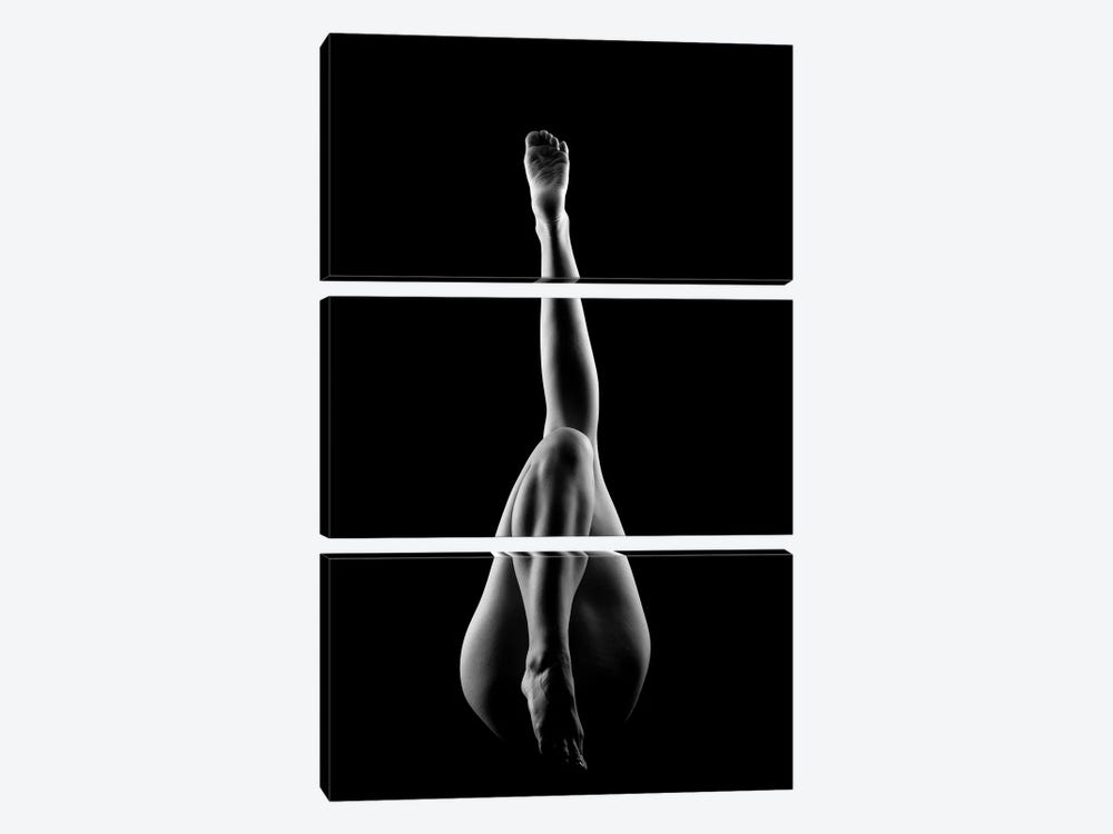 Nude Woman's Sexy Body V by Alessandro Della Torre 3-piece Canvas Art
