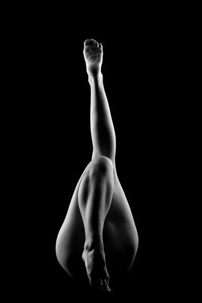 Nude Woman's Sexy Body V