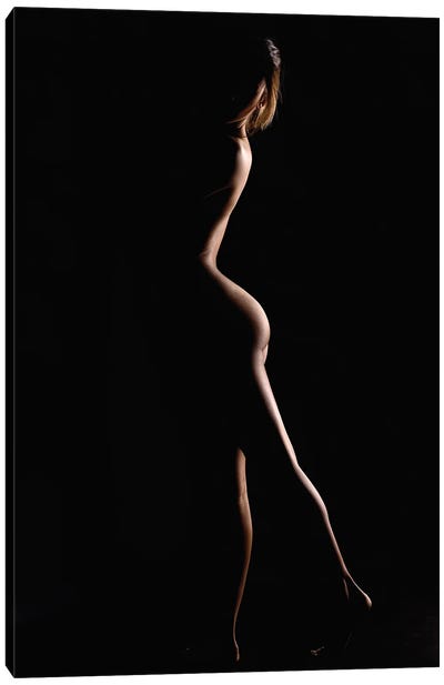 Nude Woman Bodyscape Sensual Standing Up Naked On Black Background V Canvas Art Print
