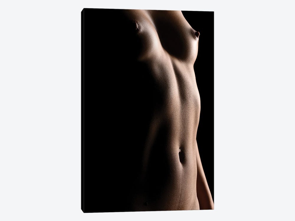 Nude Woman's Belly Button And Abdominal Sexy Naked by Alessandro Della Torre 1-piece Canvas Art