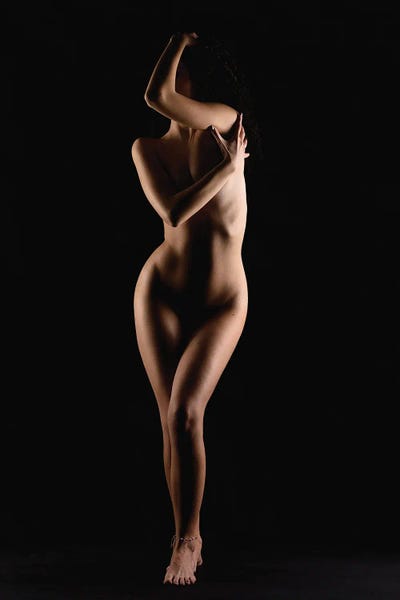 Nude Woman Stainding Up Naked As Bodyscape Silhouette I by Alessandro Della Torre canvas print