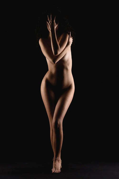 Nude Woman Stainding Up Naked As Bodyscape Silhouette II