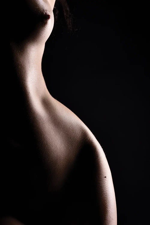 Nude Bodyscape Of Naked Woman's Body