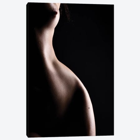 Nude Bodyscape Of Naked Woman's Body Canvas Print #ADT210} by Alessandro Della Torre Art Print