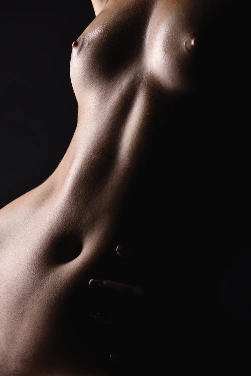 Nude Bodyscape Of Naked Woman's Body II