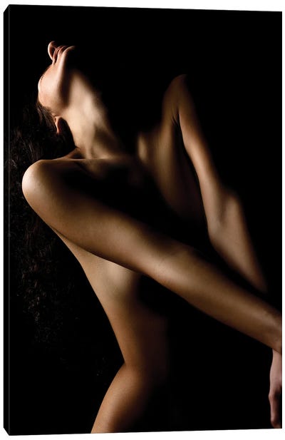 Nude Embracing Sexy Woman Naked And Sensual II Canvas Art Print - Alessandro Della Torre
