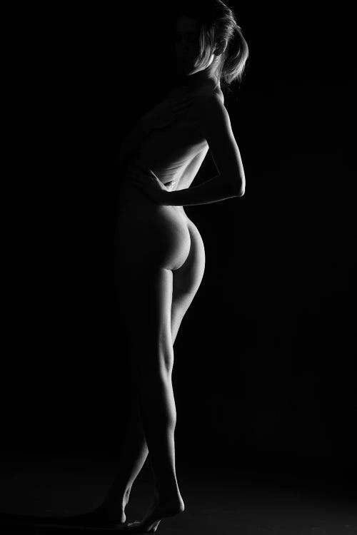 Nude Fine Art Standing Naked Woman's Body Sexy In Black And White VII