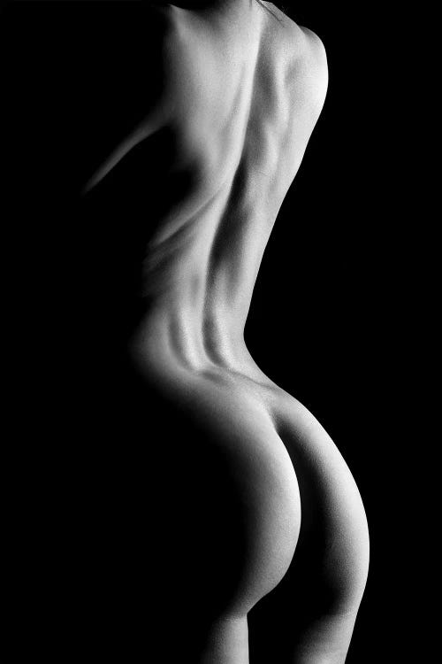 Nude Fine Art Standing Naked Woman's Body Sexy In Black And White XIV