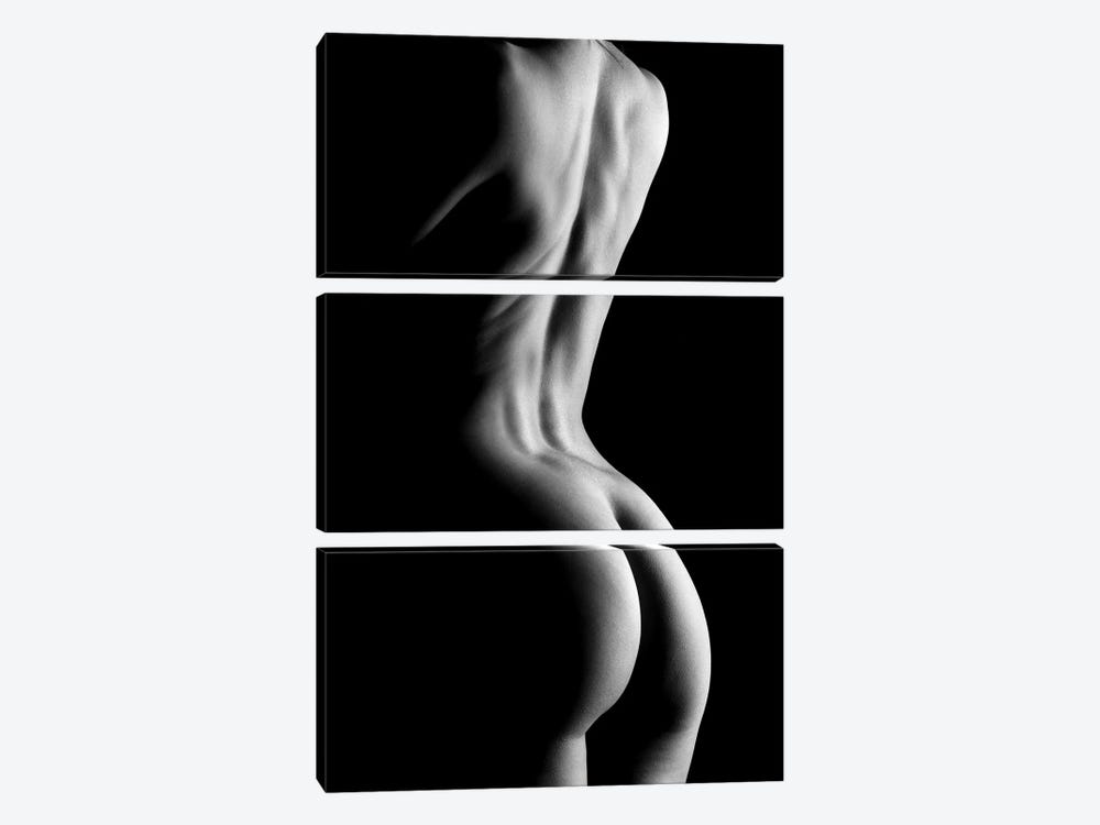Nude Fine Art Standing Naked Woman's Body Sexy In Black And White XIV by Alessandro Della Torre 3-piece Canvas Art