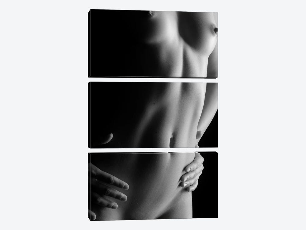 Naked Black And White Nude Belly Button And Female's Abdominal II by Alessandro Della Torre 3-piece Art Print