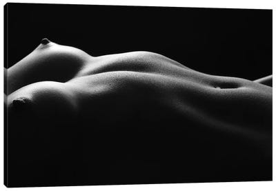 Naked Black And White Nude Belly Button And Female's Abdominal IV Canvas Art Print - Alessandro Della Torre