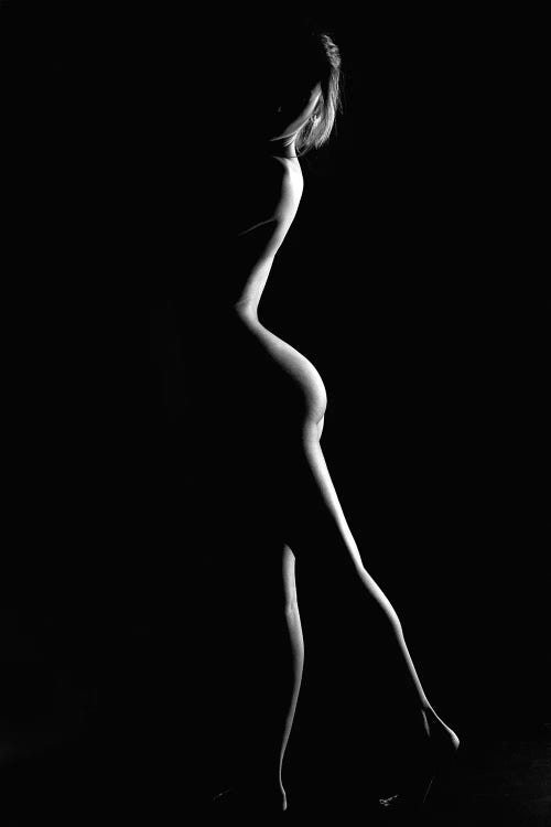 Nude Sensual Woman's Bodyscape Standing Up Naked Sexy